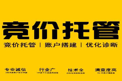 行业领先SEM托管代运营案例